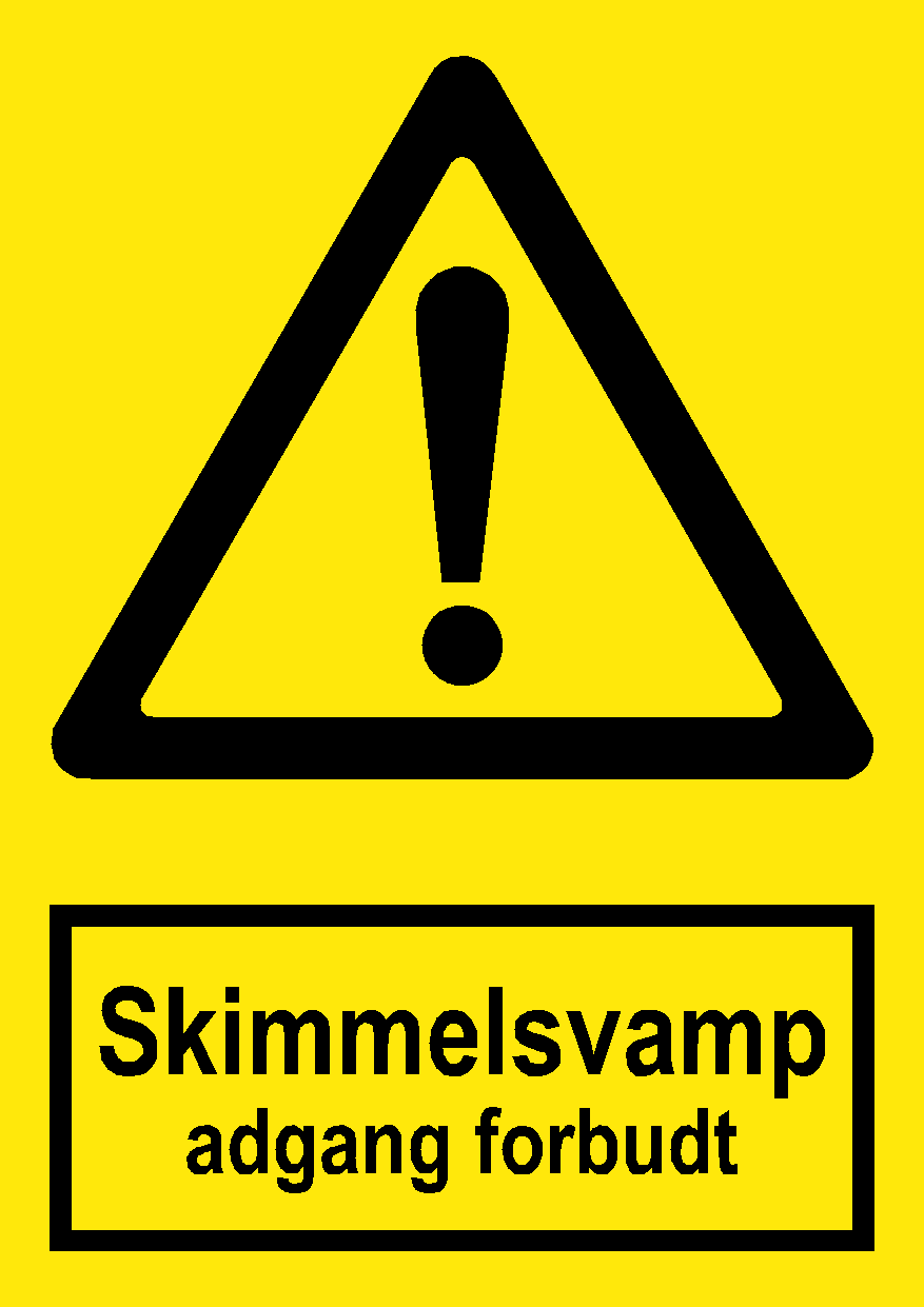 Skimmelsvamp