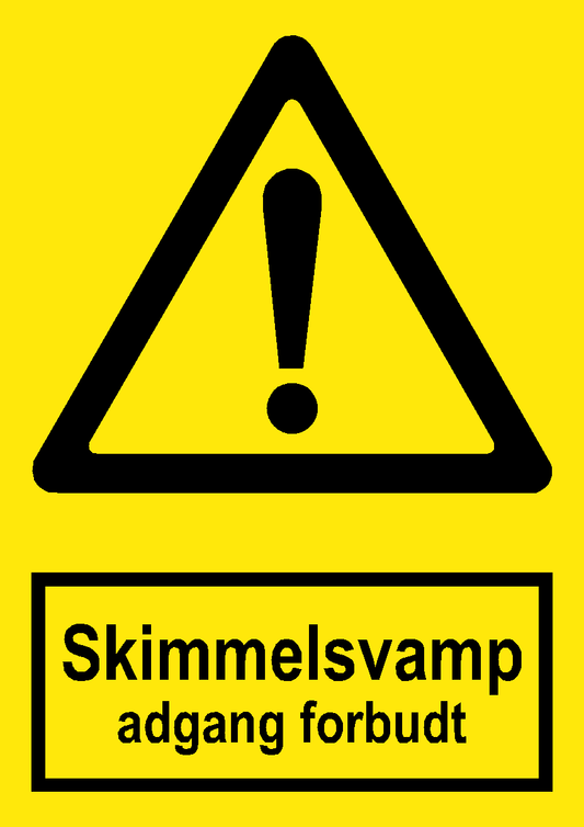 Skimmelsvamp
