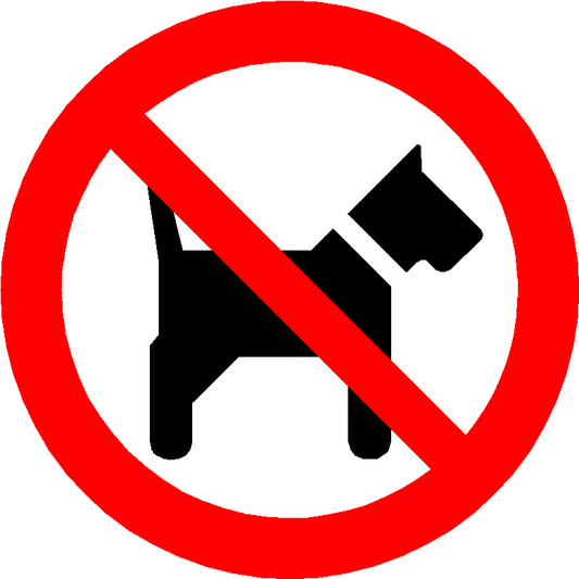 Hund ikke tilladt